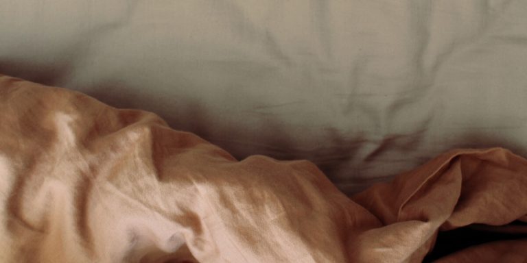 Bed Bug Pest Control in Padstow & North Cornwall