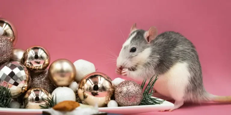 Christmas Cheer and Unwanted Guests: A Pest’s Eye View of the Holidays